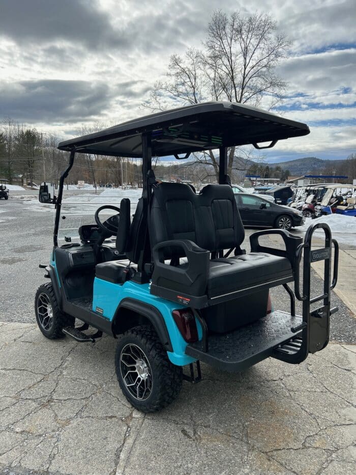 2025 Maverick 2+2 Plus – Sky Blue - Image 2