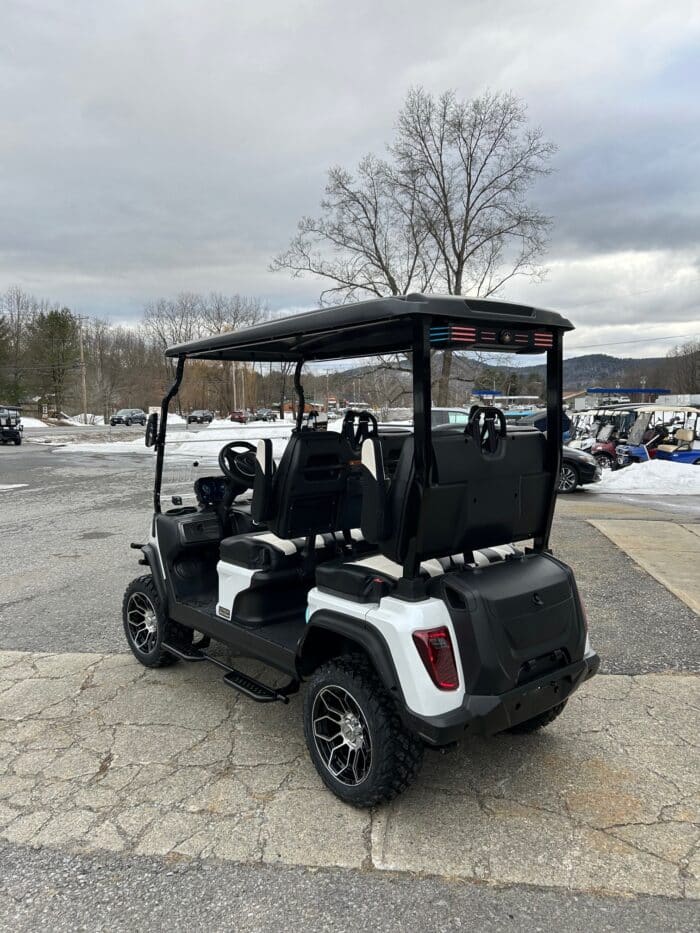 2025 Evolution D5 Maverick 4 Plus LSV – Mineral White - Image 2