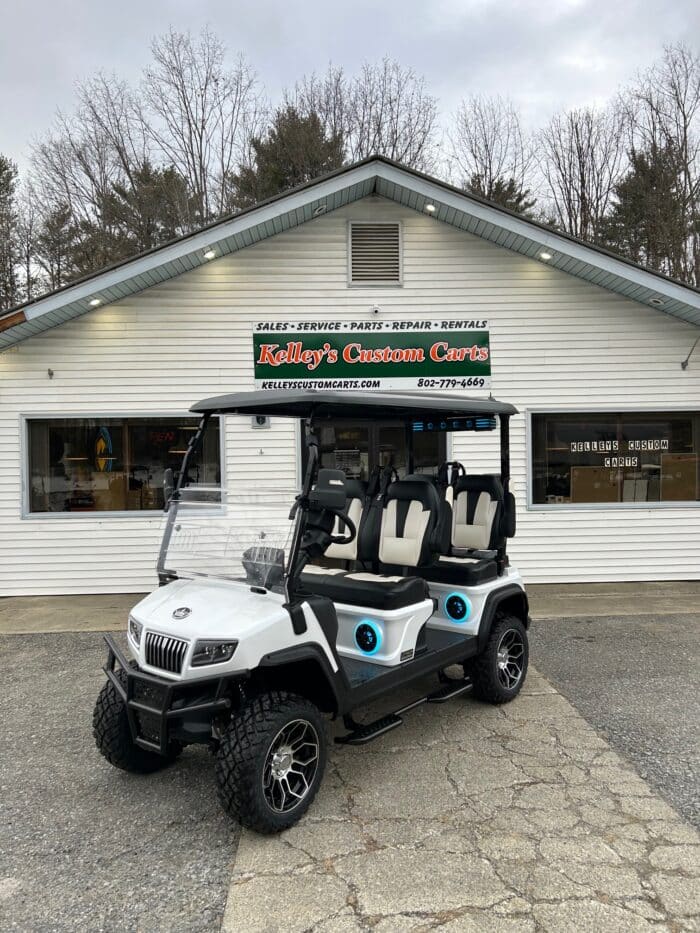 2025 Evolution D5 Maverick 4 Plus LSV – Mineral White
