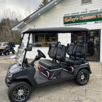 2025 Evolution D5 Ranger 4 Plus – Arctic Gray - Image 3