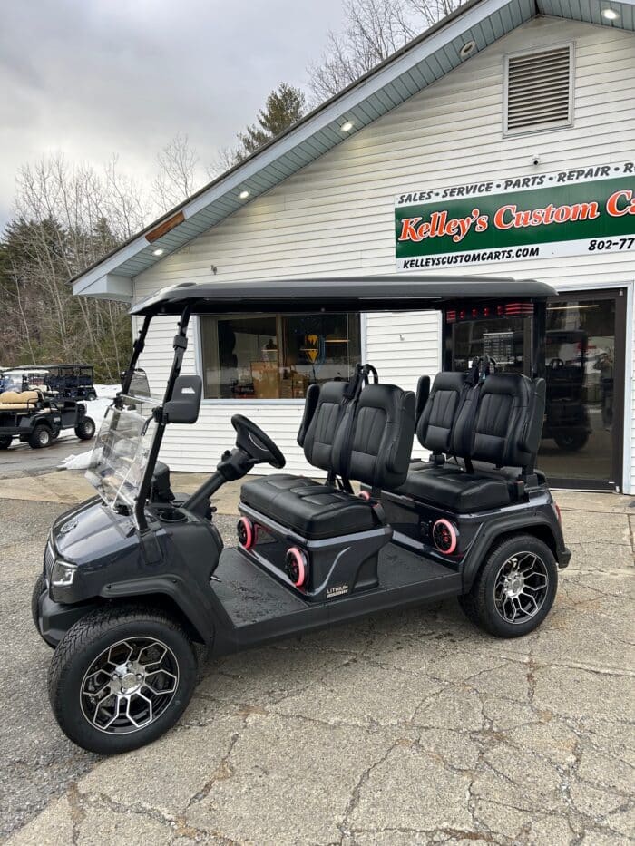 2025 Evolution D5 Ranger 4 Plus – Arctic Gray - Image 3