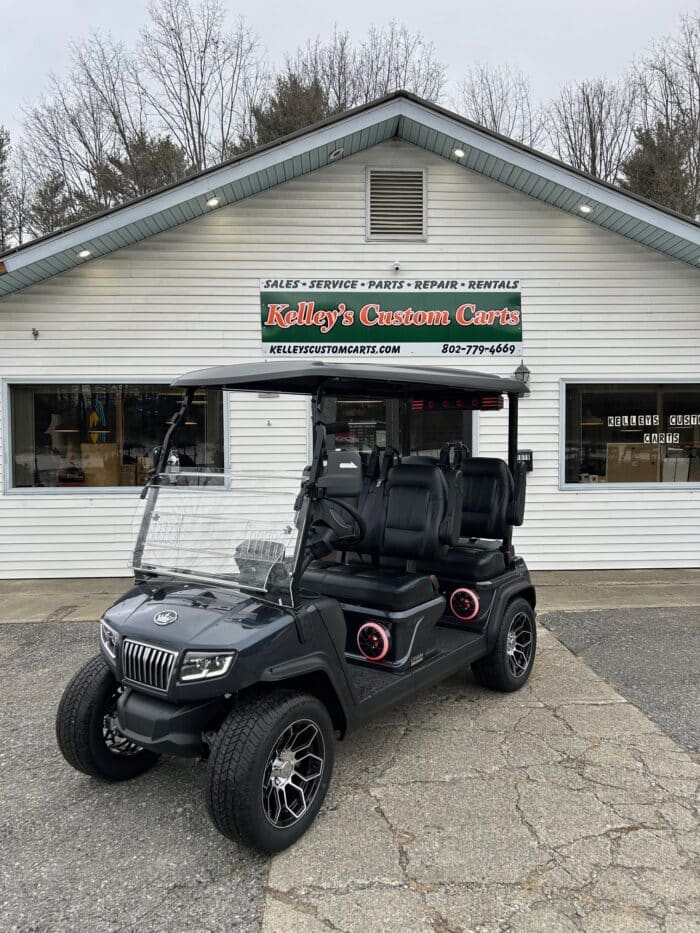 2025 Evolution D5 Ranger 4 Plus – Arctic Gray