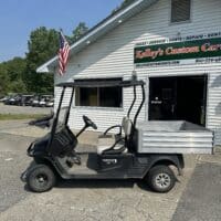 2020 Cushman Hauler 1200 Gas - Blue - Image 2