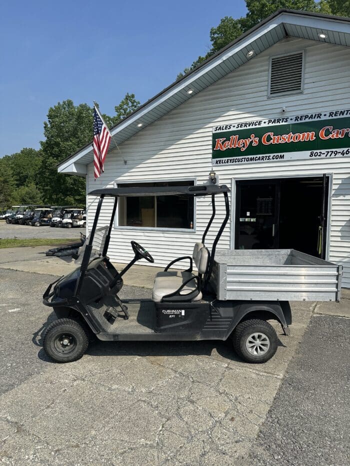 2020 Cushman Hauler 1200 Gas - Blue - Image 2