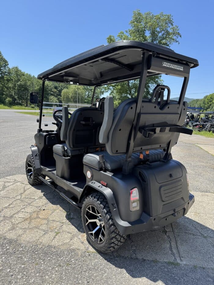 2025 Denago Rover XL - Matte Black - Image 3