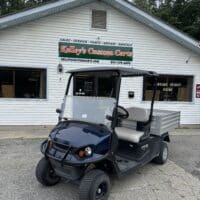 2020 Cushman Hauler 1200 Gas - Blue
