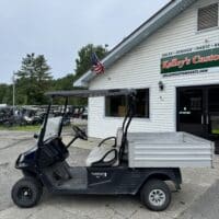 2020 Cushman Hauler 1200 Gas - Blue - Image 2
