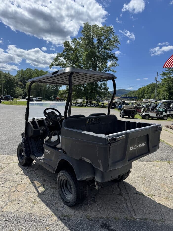 2019 Cushman Hauler 800x Gas - Green - Image 3