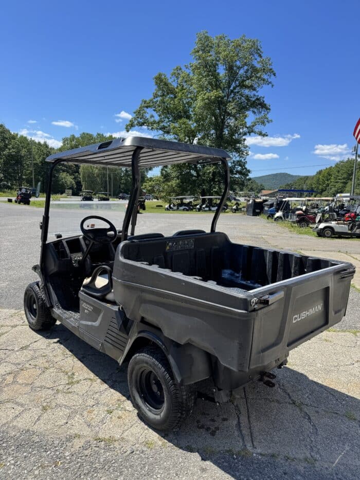 2020 Cushman Hauler 1200x Gas - Green - Image 3