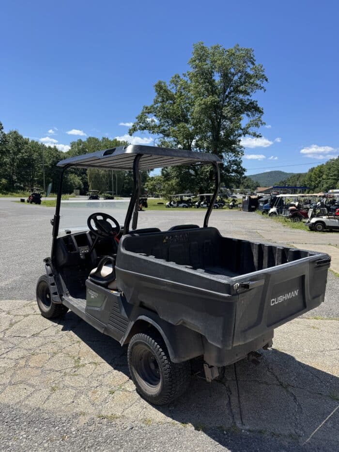 2021 Cushman Hauler 1200x Gas - Green - Image 3