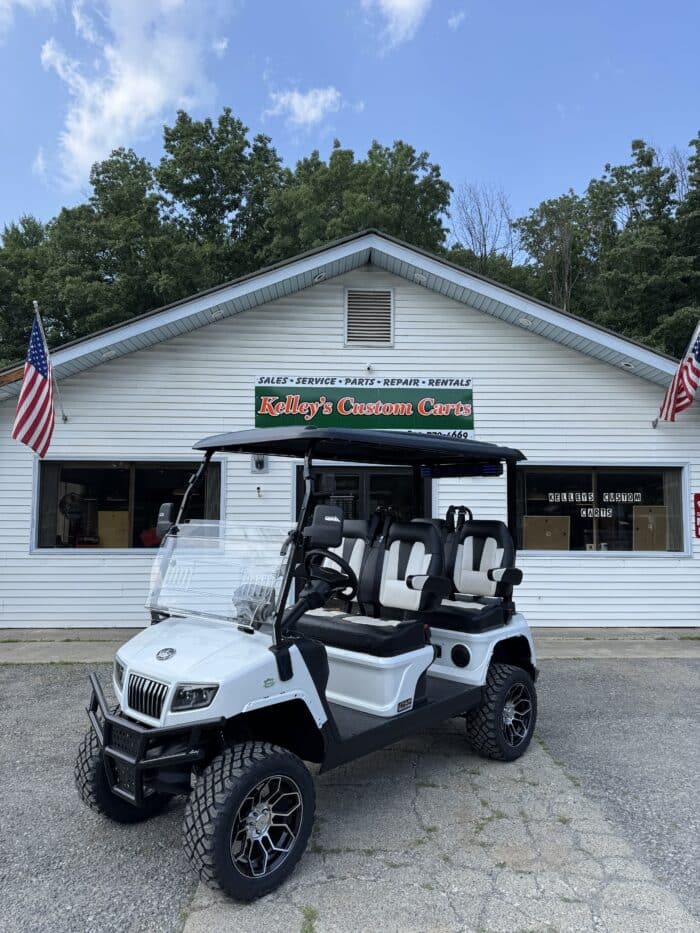 2025 Evolution Maverick 4 LSV - Mineral White