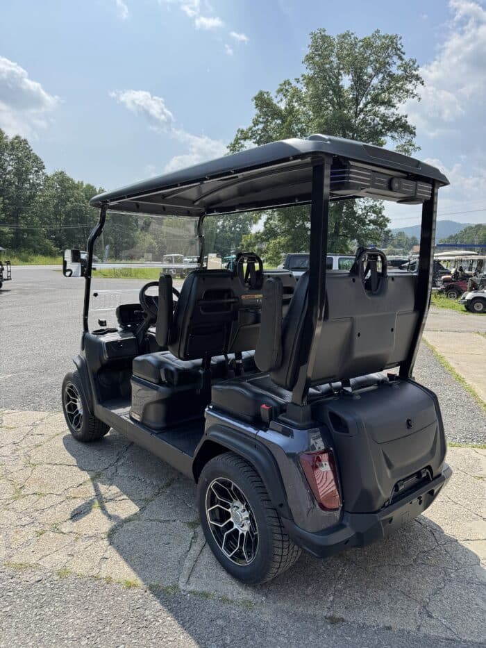 2025 Evolution Ranger 4 LSV - Arctic Gray - Image 3