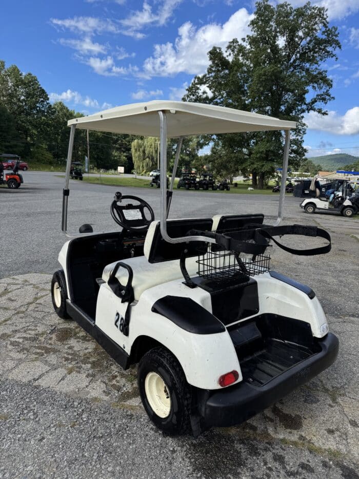 1996 Yamaha G-16 Gas - White - Image 3